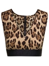 Dolce & Gabbana Brown Animal Print Cropped Top In Beige