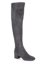 GIANVITO ROSSI Texa Over-The-Knee Suede Boots