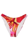 Louisa Ballou Floral Print Bikini Bottom With Low-rise Fit In Multicolor