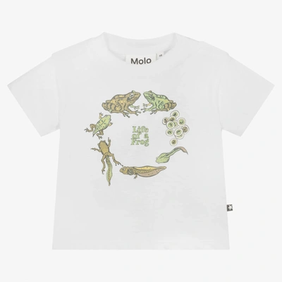 Molo Babies' White Cotton Frog Life Cycle T-shirt