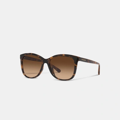 Coach Outlet Geometric Square Sunglasses In Brown