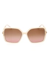 Tom Ford Joanna 59mm Gradient Butterfly Sunglasses In Shiny Ivory Deep Gold / Amber