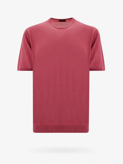 Roberto Collina Sweater In Pink