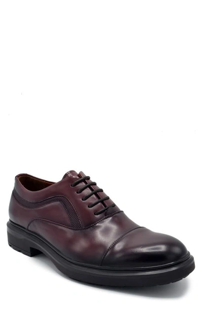 Aston Marc Tuscan Cap Toe Oxford In Maroon