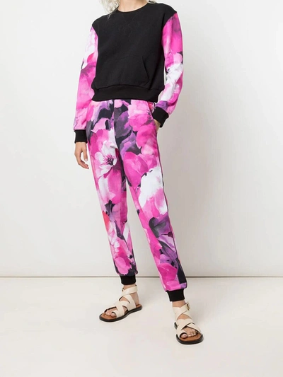 Marchesa Wilma Sweatshirt Printed In Raspberry Multi