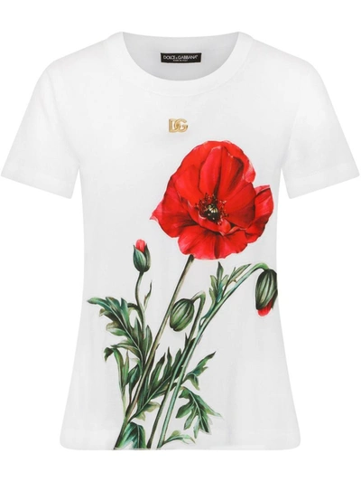 Dolce & Gabbana Flower-print Applique Jersey T-shirt In White