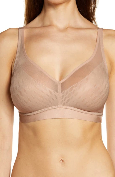 Wacoal Elevated Allure Wireless Bra In Roebuck