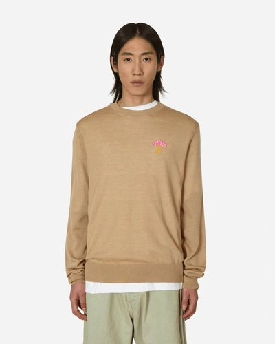 Comme Des Garçons Shirt Brett Westfall Mushroom Knitted Sweater In Beige
