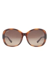 Ferragamo Salvatore  59mm Square Sunglasses In Havana Brn