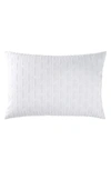 Dkny Refresh Queen Sham In White