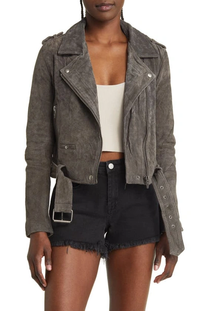 Blanknyc Suede Moto Jacket In Dark Grey In Gray