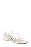 Paige Women's Gianna Square Toe Strappy Block Heel Sandals In White