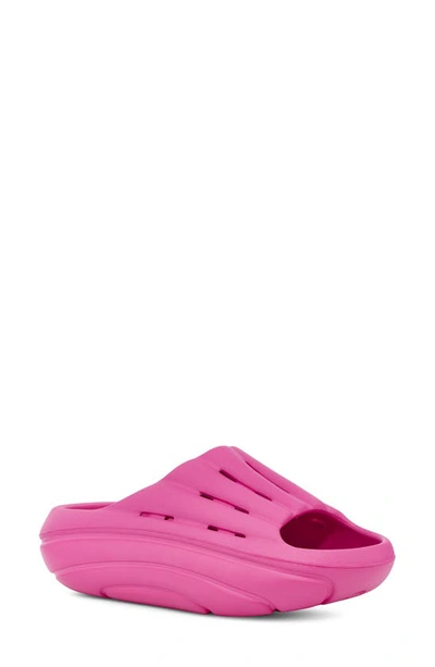 Ugg Foamo Slide Sandal In Fuchsia