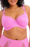 ELOMI BRIANNA UNDERWIRE PADDED HALF CUP BRA