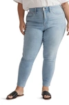 Madewell 10-inch High Waist Skinny Crop Jeans In Charlemont Wash