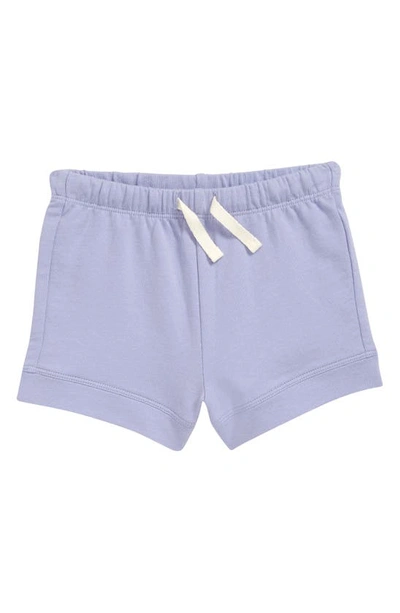 Nordstrom Babies' Everyday Knit Shorts In Purple Perfume