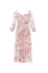 Needle & Thread Hummingbird Iris Bloom Ballerina Dress In Multi