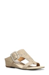 Donald Pliner Vine Buckled Wedge Sandal In Bone