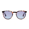 Taylor Morris Eyewear George Arthur Sunglasses