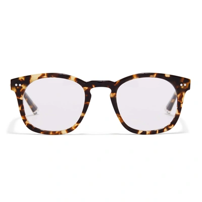 Taylor Morris Eyewear W8 C7 Glasses In Brown