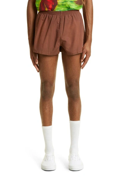Stockholm Surfboard Club Cotton Shorts Brown In Green