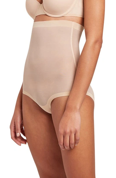 Wolford High Waist Control Tulle Briefs In Clay