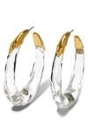 Alexis Bittar Molten Hoop Earrings In Gold