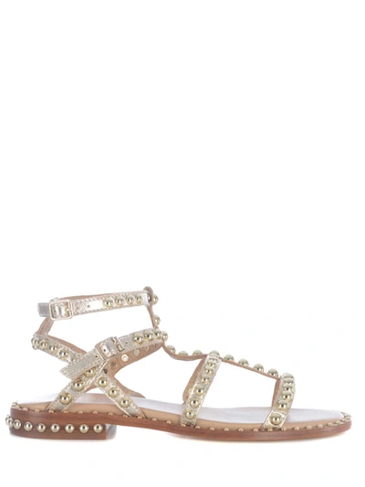 Ash Beige Leather Precious Sandals In Gold