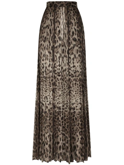 Dolce & Gabbana Leopard Print Wide Chiffon Pants In Brown