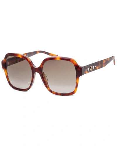 Jimmy Choo Women's Rellags 55mm Sunglasses In Brown