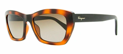 FERRAGAMO SF955S 214 CAT EYE SUNGLASSES