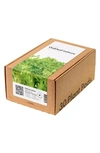 Click & Grow Smart Garden 30-pack Lettuce Plant Pods In Oakleaf Lettuce