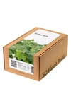 Click & Grow Smart Garden 30-pack Lettuce Plant Pods In Green Kale