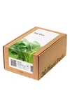 Click & Grow Smart Garden 30-pack Lettuce Plant Pods In Pak Choi