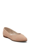 Toms Jutti Neat Flat In Brown