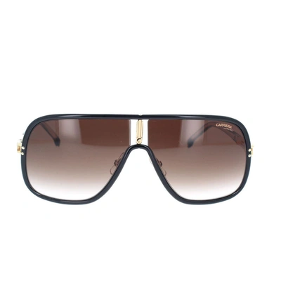 Carrera Sunglasses In Brown