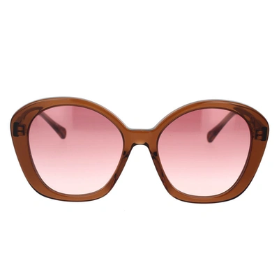 Chloé Sunglasses In Brown