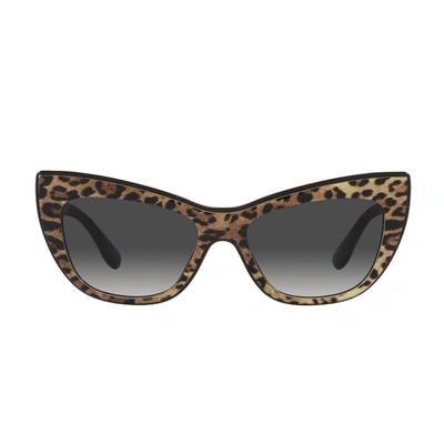 Dolce & Gabbana Eyewear Sunglasses In Brown