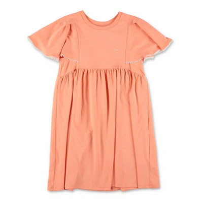 Chloé Babies' Girls Coral Pink Cotton Dress