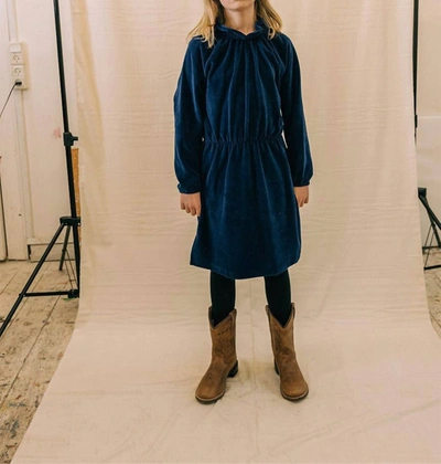 A Monday In Copenhagen Kids' Kayla Velour Dress Blue Print