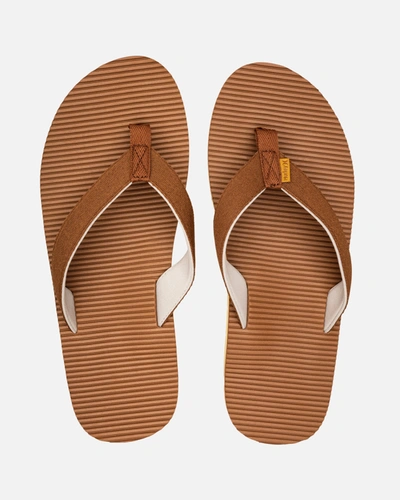 United Legwear Men's One And Only Sandal In Bronzed