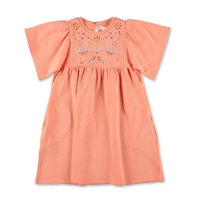 Chloé Kids' Kleid Aus Baumwoll-jersey In Orange