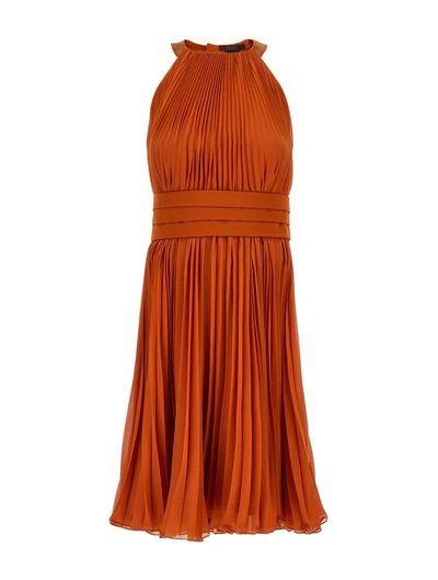 Max Mara Golena Belted Pleated Midi Dress In Orange