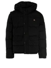 Dickies Glacier Down Jacket