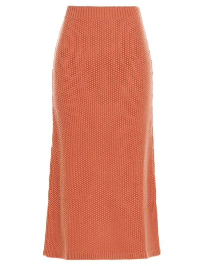 Chloé Flared Maxi Skirt In Multicolor