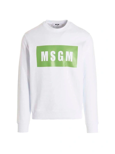 Msgm Logo Box Sweatshirt In White