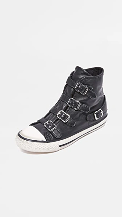 Ash Virgin Buckled High Top Trainers In Black