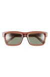 Ray Ban Warren 54mm Polarized Rectangular Sunglasses In Brown/ Green