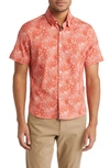 STONE ROSE JUNGLE PRINT SHORT SLEEVE BUTTON-UP SHIRT