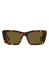 Prada Marble Acetate Butterfly Sunglasses In Dark Brown